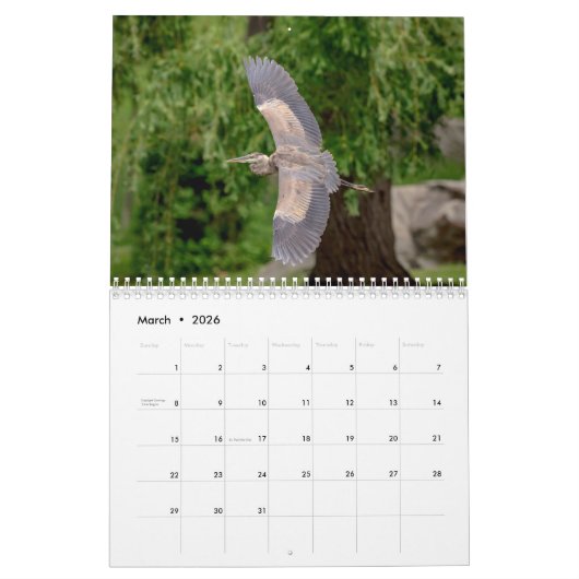 Grote blauwe reiger 2026 kalender (Mar 2026)