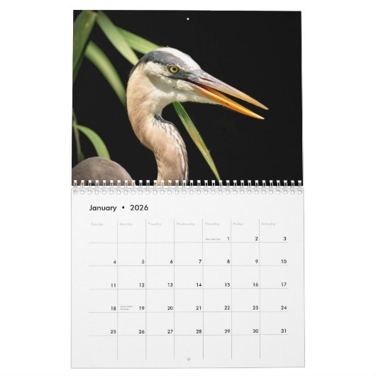 Grote blauwe reiger 2026 kalender (Jan 2026)
