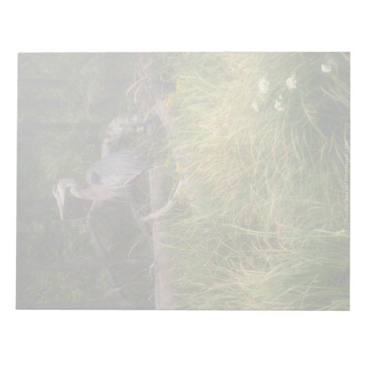 Grote Blauwe Reiger 8917 Notitieblok (Voorkant)