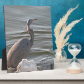 Grote Blauwe Reiger bij het Water Fotoplaat (Zijkant)