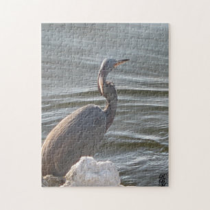 Grote Blauwe Reiger bij het Water Legpuzzel
