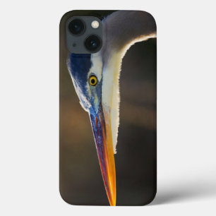 Grote Blauwe Reiger, close-up portret iPhone 13 Hoesje
