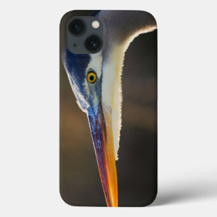 Grote Blauwe Reiger, close-up portret Case-Mate iPhone Case