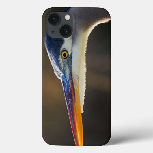 Grote Blauwe Reiger, close-up portret Case-Mate iPhone Case (Achterkant)