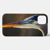 Grote Blauwe Reiger, close-up portret Case-Mate iPhone Case (Achterkant (horizontaal))