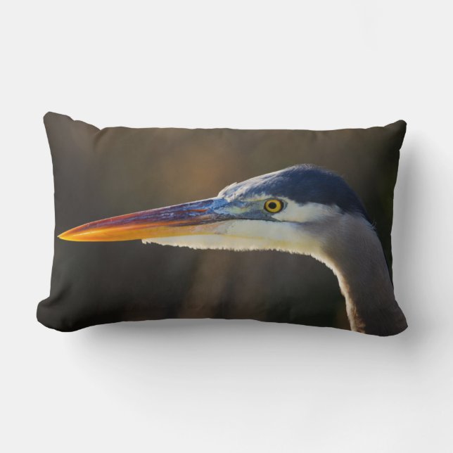 Grote Blauwe Reiger, close-up portret Kussen (Voorkant)