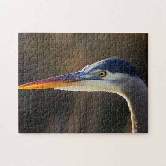 Grote Blauwe Reiger, close-up portret Legpuzzel (Horizontaal)
