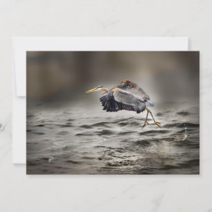Grote Blauwe Reiger Danst Boven het Meer Leeg Notitiekaartje