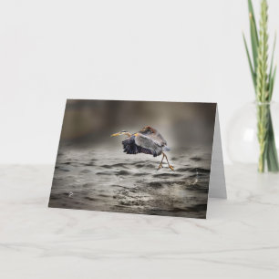 Grote Blauwe Reiger Danst Over het Meer Blank Feestdagen Kaart