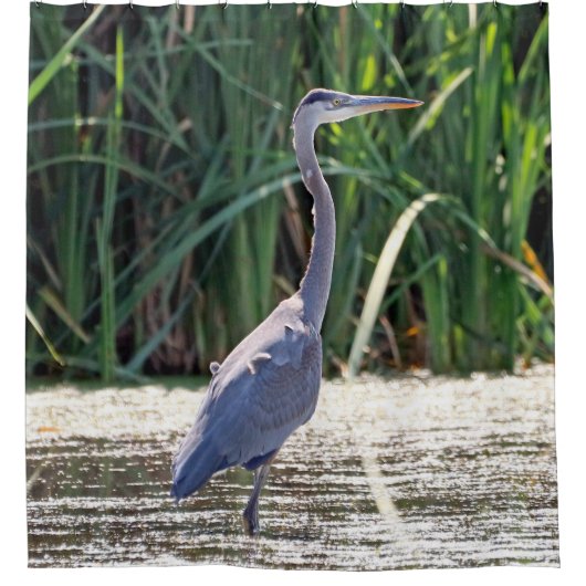 Grote Blauwe Reiger Douchegordijn (Voorkant)