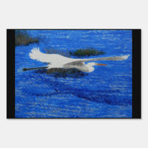 Grote Blauwe Reiger,Estuarium 