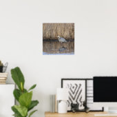 Grote Blauwe Reiger Foto Poster (Thuiskantoor)