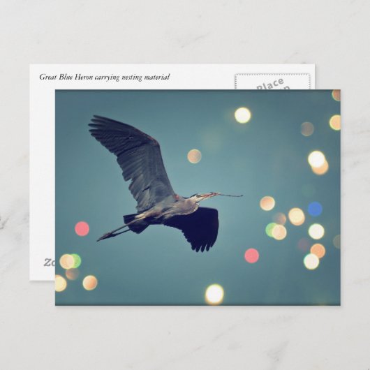 Grote blauwe reiger in het Briefkaart (Voorkant / Achterkant)