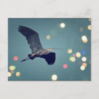 Grote blauwe reiger in het Briefkaart