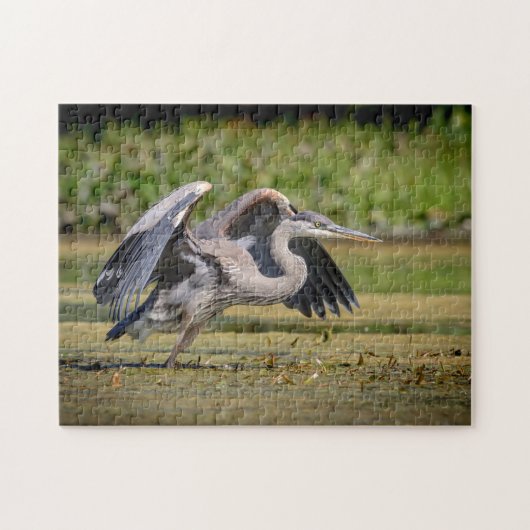 Grote blauwe reiger in vlucht legpuzzel (Horizontaal)