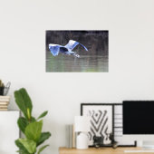 Grote Blauwe Reiger in Vlucht Poster (Thuiskantoor)