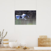 Grote Blauwe Reiger in Vlucht Poster (Keuken)