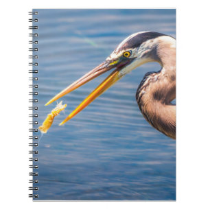 Grote Blauwe Reiger Jacht Prooi Natuur Kunstprint Notitieboek