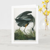Grote Blauwe Reiger, John James Audubon Kaart (Gele Bloem)