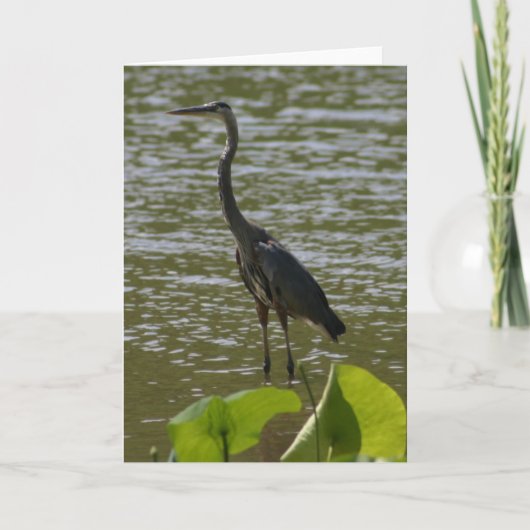 Grote Blauwe Reiger Kaart (Voorkant)