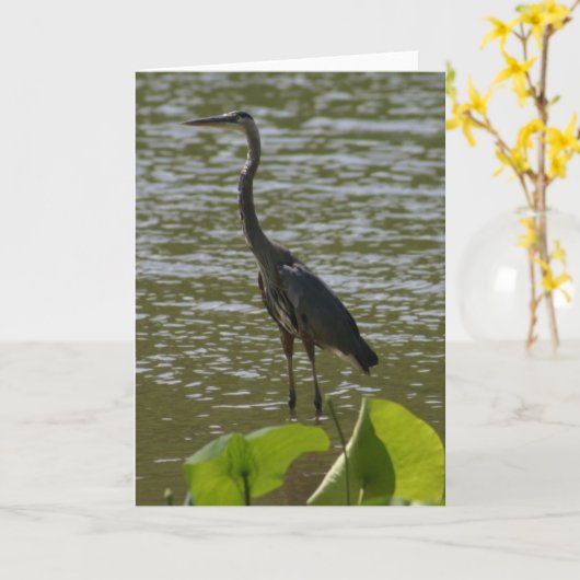 Grote Blauwe Reiger Kaart (Gele Bloem)