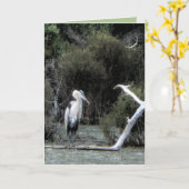 Grote Blauwe Reiger Kaart (Gele Bloem)