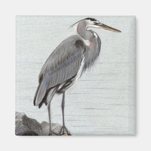 Grote Blauwe Reiger Magneet (Voorkant)