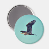 Grote Blauwe Reiger Magneet (Voorkant / Achterkant)
