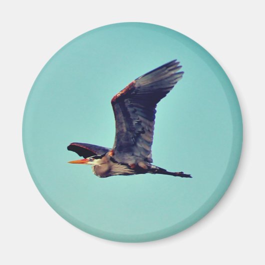 Grote Blauwe Reiger Magneet (Voorkant)
