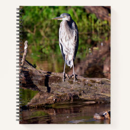 Grote Blauwe Reiger op Boomstam Foto Notitieboek D