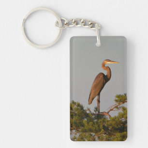 Grote Blauwe Reiger Op Boomtop Sleutelhanger