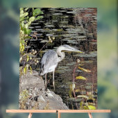 Grote Blauwe Reiger op Vijver Acryl Bord (Neutraal)
