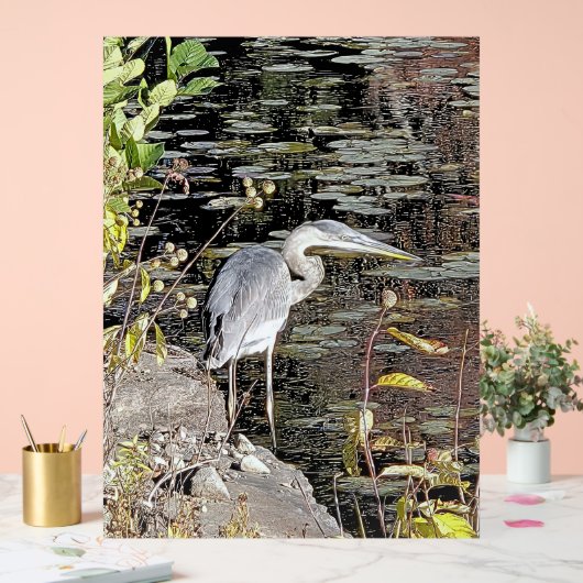 Grote Blauwe Reiger op Vijver Acryl Bord (Huwelijk)