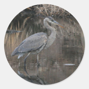 Grote Blauwe Reiger Ronde Sticker