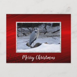 Grote blauwe reiger sneeuwfoto kerst briefkaart