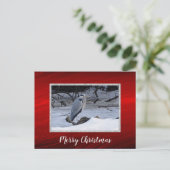 Grote blauwe reiger sneeuwfoto kerst briefkaart (Staand voorkant)