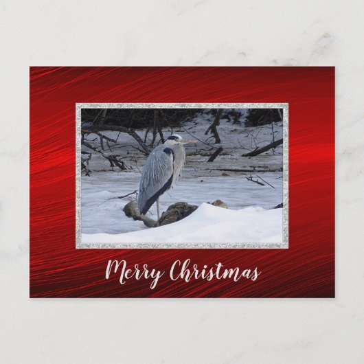 Grote blauwe reiger sneeuwfoto kerst briefkaart (Voorkant)
