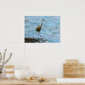 Grote Blauwe Reiger Staand in het Water Poster (Keuken)