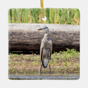 Grote Blauwe Reiger staand in Lake Champlain Keramisch Ornament