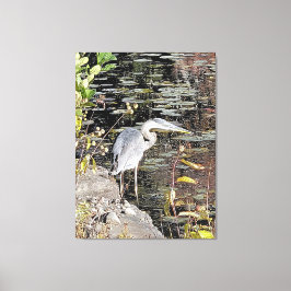 Grote Blauwe Reiger Uitgerekt Canvasprint Canvas Afdruk