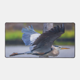 Grote Blauwe Reiger Vlucht Natuurleven Vogel Fotog Bureaumat