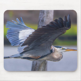 Grote Blauwe Reiger Vlucht Wilde Natuur Vogel Foto Muismat