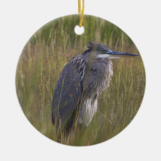 Grote Blauwe Reiger Vogelornament Keramisch Ornament (Voorkant)