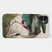 Grote Blauwe Reiger Vogels van Amerika Audubon Pri Case-Mate iPhone Case (Achterkant (horizontaal))