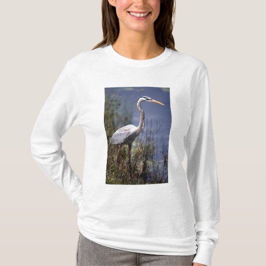 Grote Blauwe Reiger water vogel T-shirt (Voorkant)