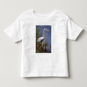 Grote Blauwe Reiger watervogel Kinder Shirts