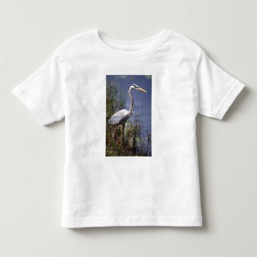 Grote Blauwe Reiger watervogel Kinder Shirts (Voorkant)