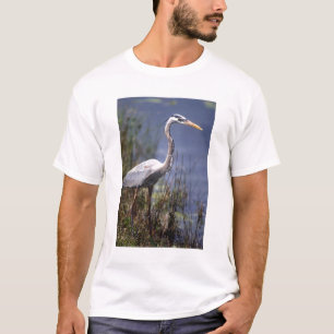 Grote blauwe reiger watervogel t-shirt