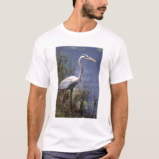 Grote Blauwe Reiger watervogel T-shirt (Voorkant)