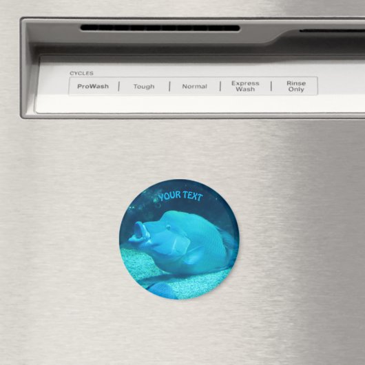 Grote blauwe vis magneet (Insitu (Vaatwasser))